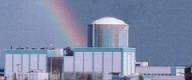 Domestic operating nuclear power plant.